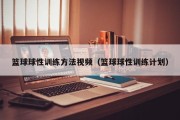 篮球球性训练方法视频（篮球球性训练计划）