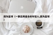 因为篮球（一群志同道合的年轻人,因为篮球）
