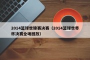 2014篮球世锦赛决赛（2014篮球世界杯决赛全场回放）