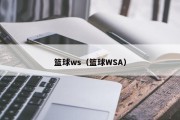 篮球ws（篮球WSA）