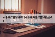 小个子打篮球技巧（小个子阵容打篮球的战术）