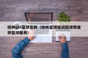 桂林gbl篮球官网（桂林篮球培训班球类提供篮球服务）