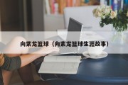 向紫龙篮球（向紫龙篮球生涯故事）