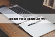 维金斯养生篮球（维金斯训练视频）