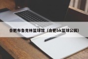 合肥布鲁克林篮球馆（合肥bk篮球公园）