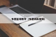 韦德篮球教学（韦德训练视频）