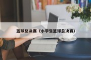 篮球总决赛（小学生篮球总决赛）