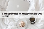 广州的篮球训练营（广州的篮球训练营多少钱一节课）