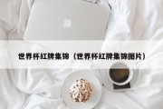 世界杯红牌集锦（世界杯红牌集锦图片）