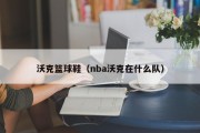 沃克篮球鞋（nba沃克在什么队）