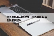 街头篮球2011世界杯（街头篮球2012全国联赛冠军）