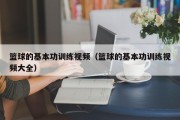 篮球的基本功训练视频（篮球的基本功训练视频大全）